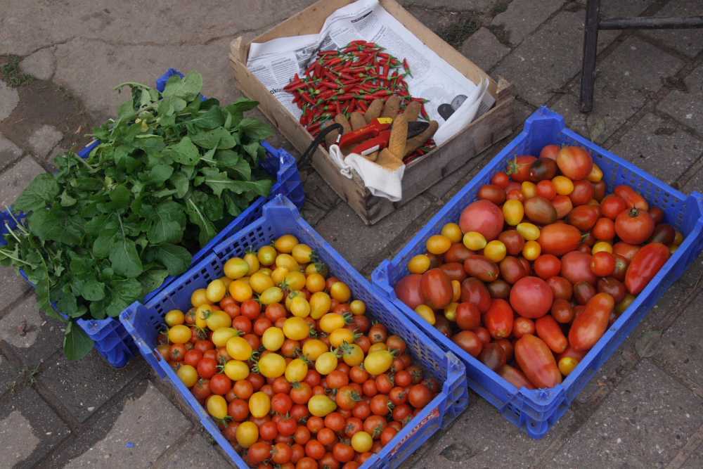 Tomatenkiste